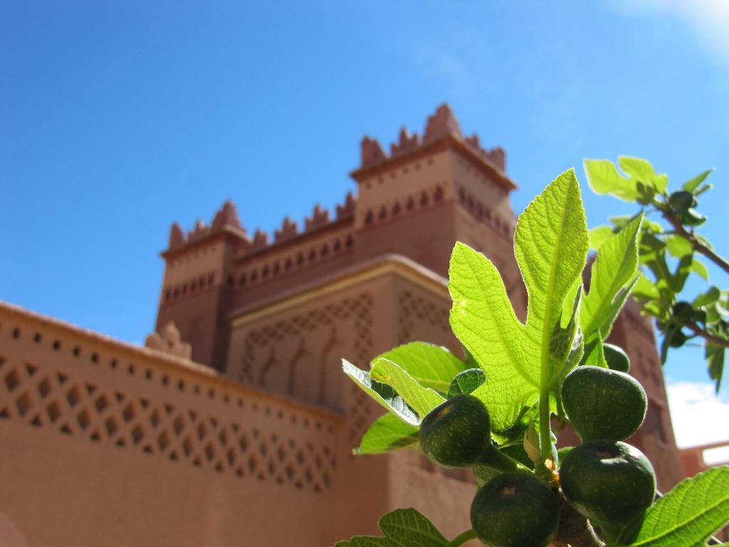 Hotel Kasbah Ait Kassi Boumalne Exterior foto